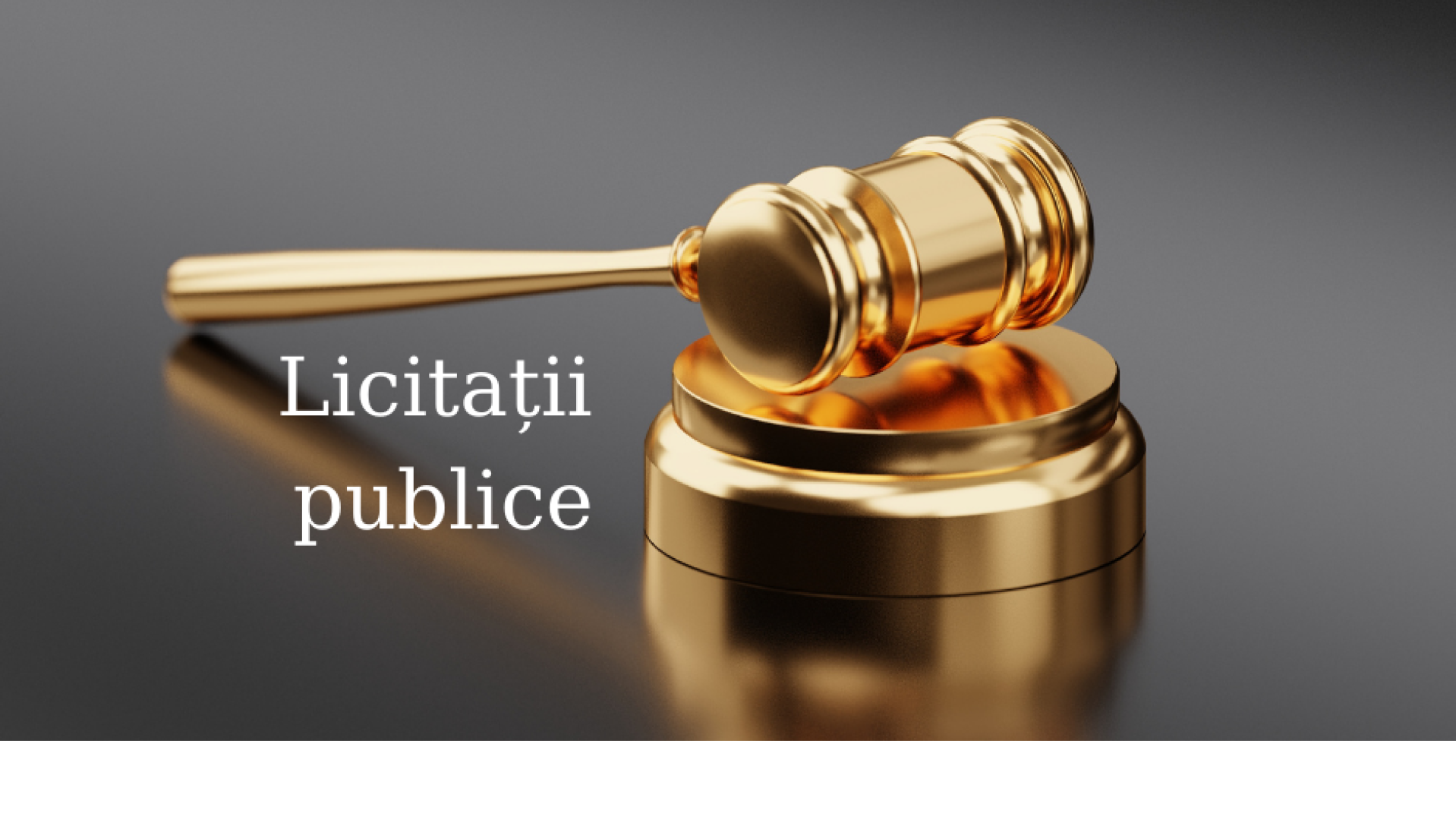 Licitații publice cu strigare din 2025