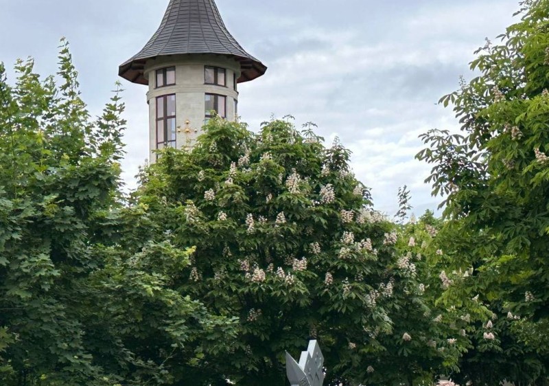 Orașul Ialoveni  Culorile primăverii