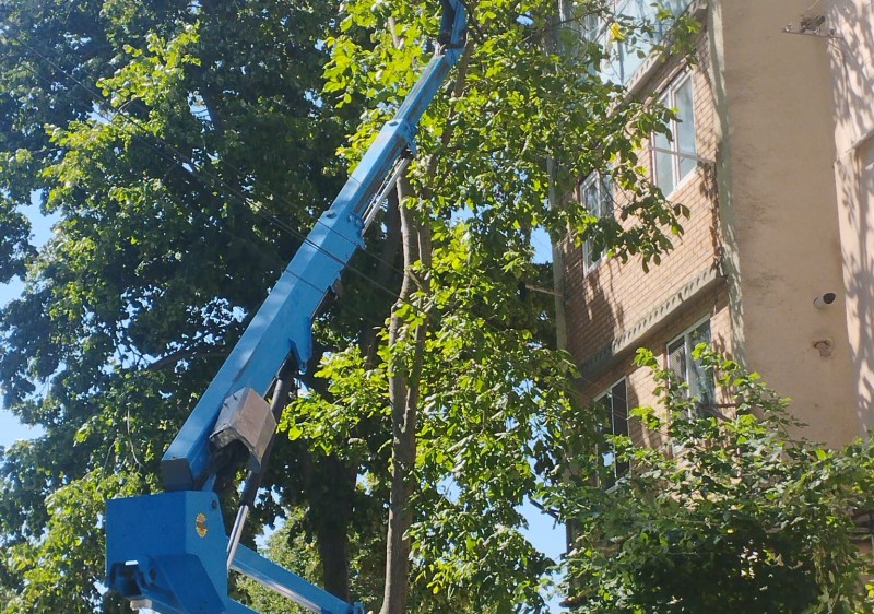 Continuarea lucrărilor de igienă selectivă a arborilor în orașul Ialoveni