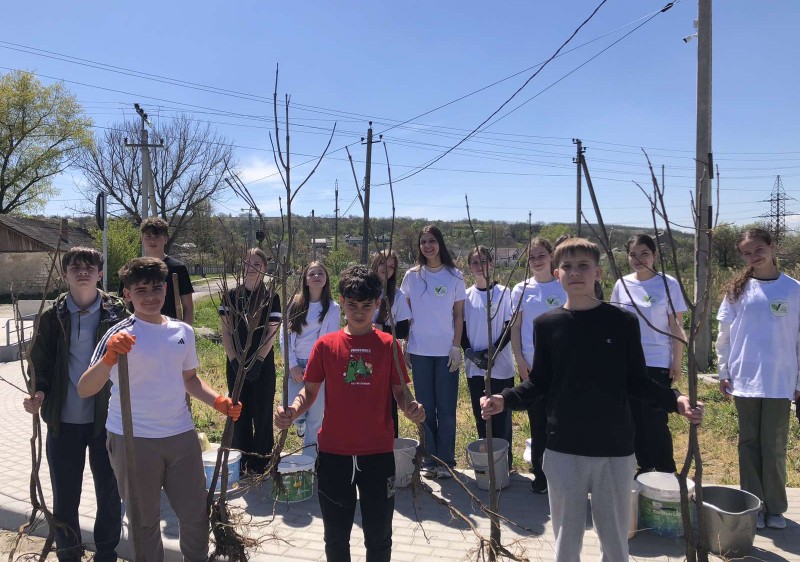 𝐎 𝐧𝐨𝐮𝐚̆ 𝐚𝐥𝐞𝐞 𝐯𝐞𝐫𝐝𝐞 𝐥𝐚 𝐈𝐚𝐥𝐨𝐯𝐞𝐧𝐢: „𝐀𝐥𝐞𝐞𝐚 𝐏𝐞𝐭𝐫𝐞 𝐒̦𝐭𝐞𝐟𝐚̆𝐧𝐮𝐜𝐚̆”
